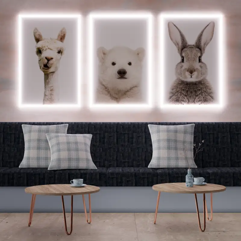 redecor-img