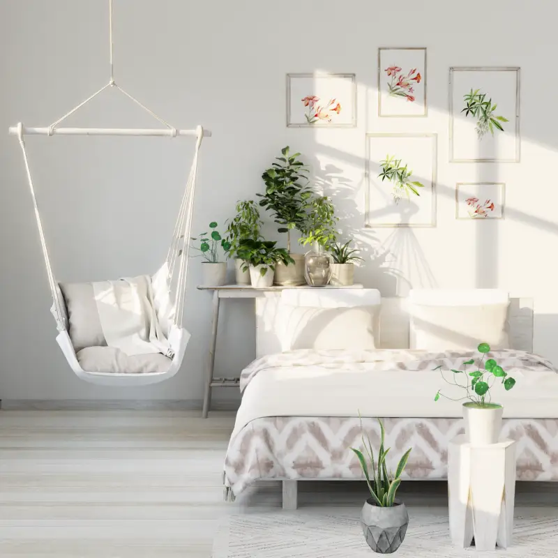 redecor-img