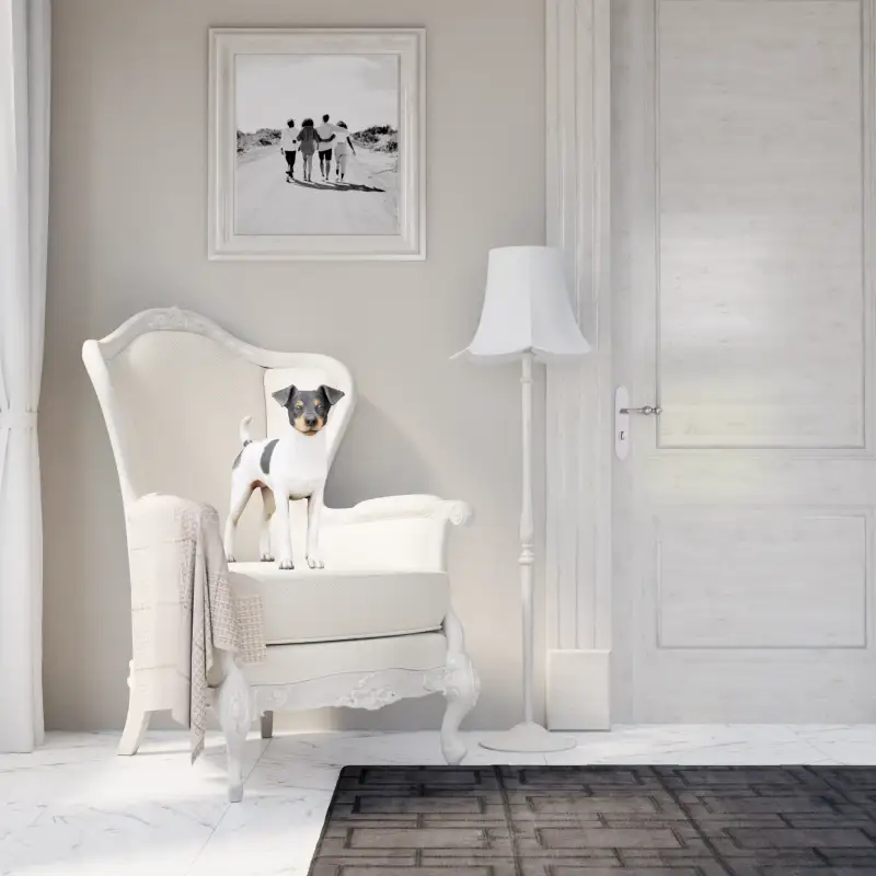 redecor-img