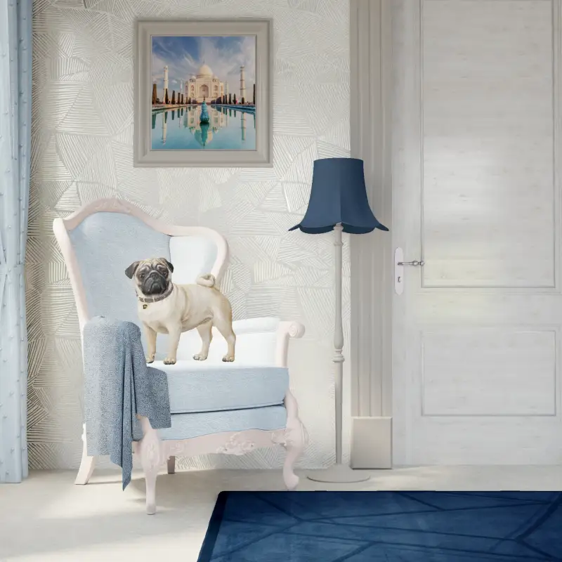 redecor-img
