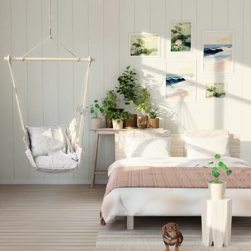 redecor-img