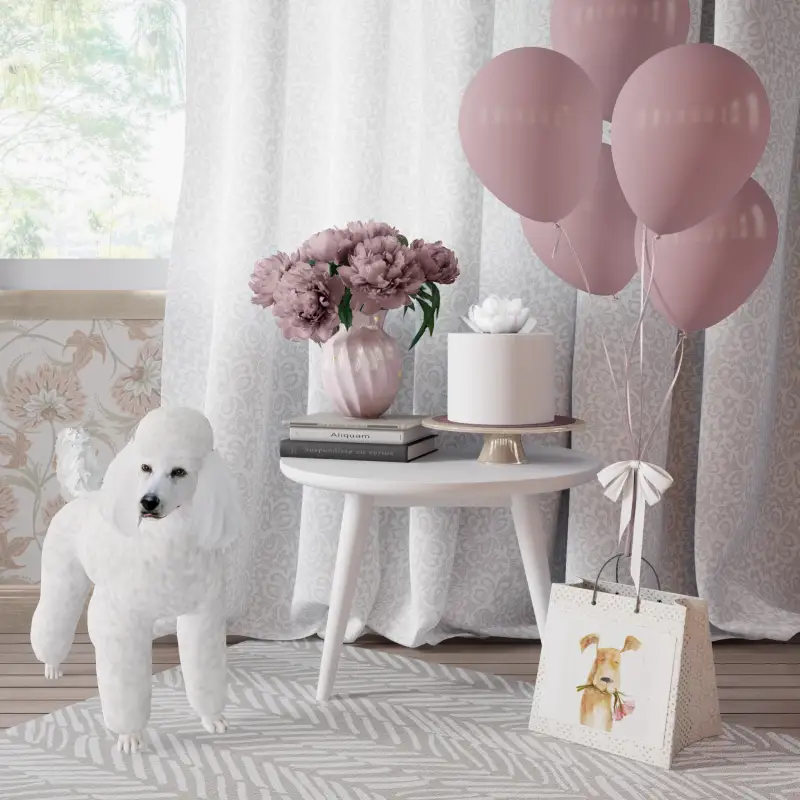 redecor-img
