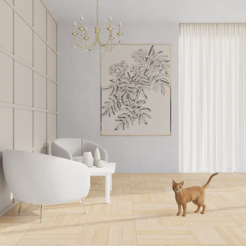 redecor-img