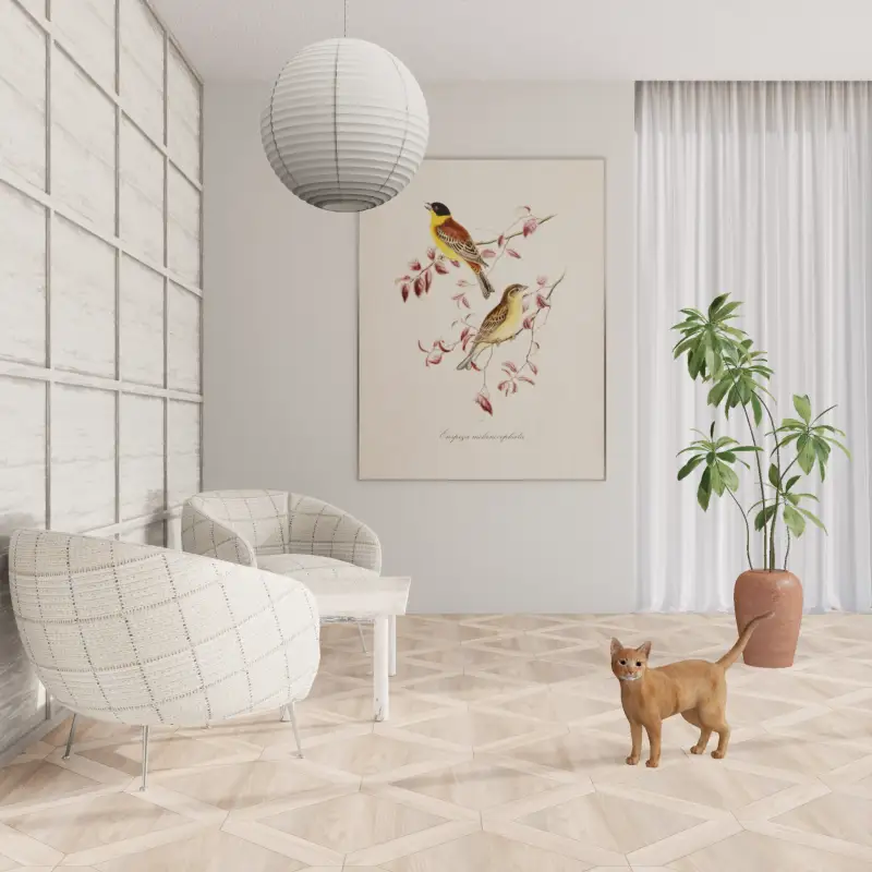 redecor-img