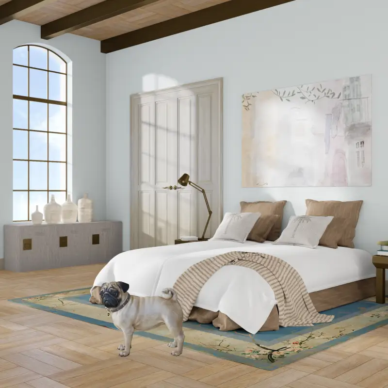redecor-img