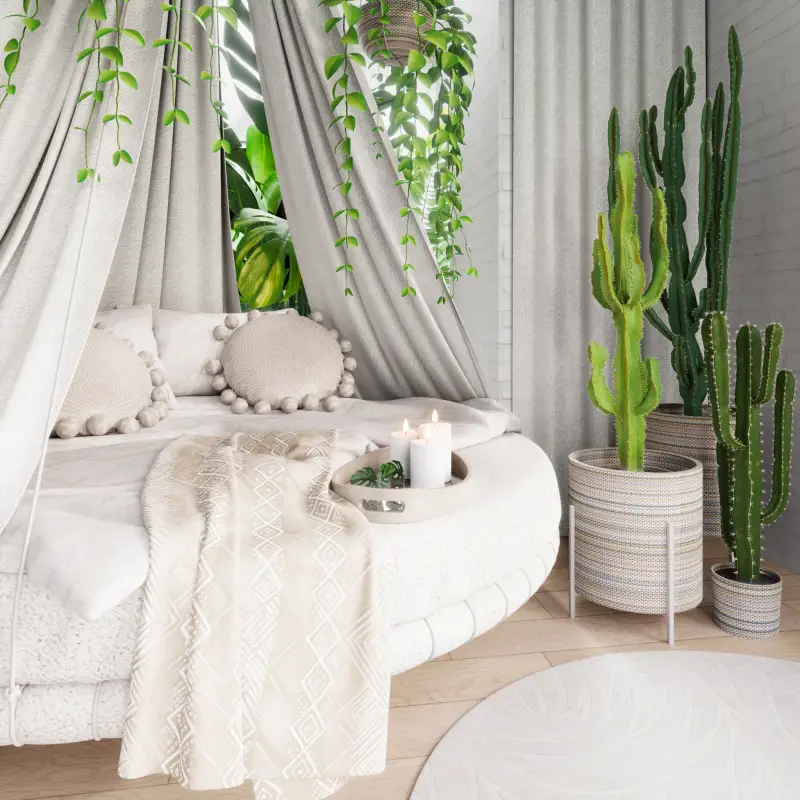 redecor-img