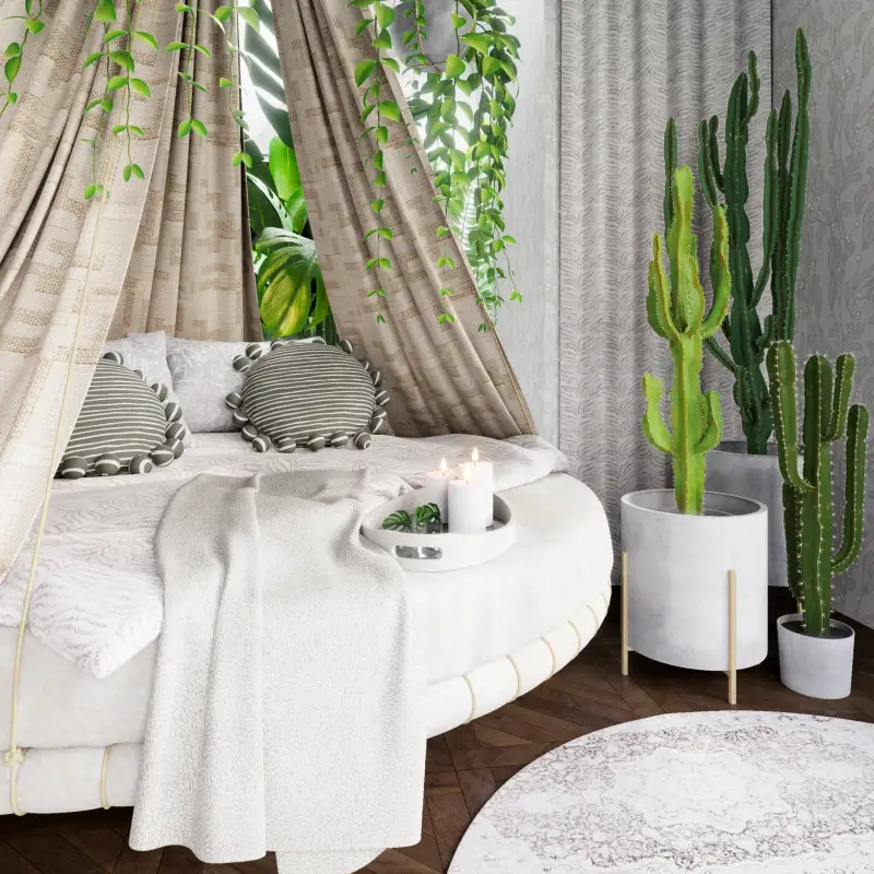 redecor-img