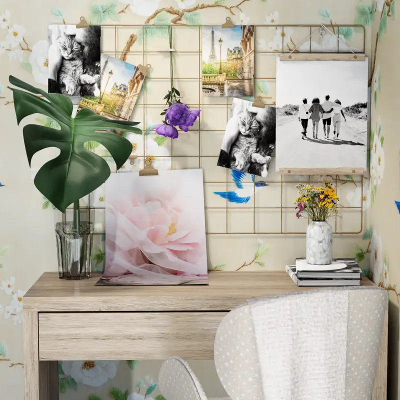 redecor-img