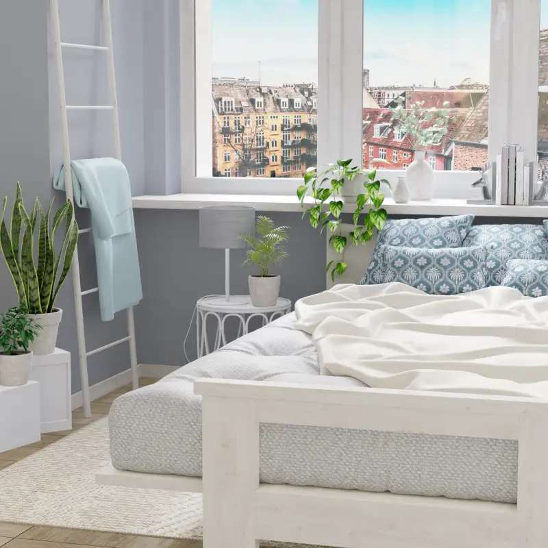 redecor-img