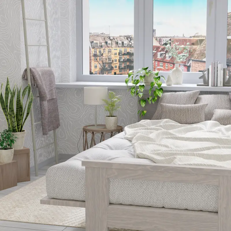 redecor-img
