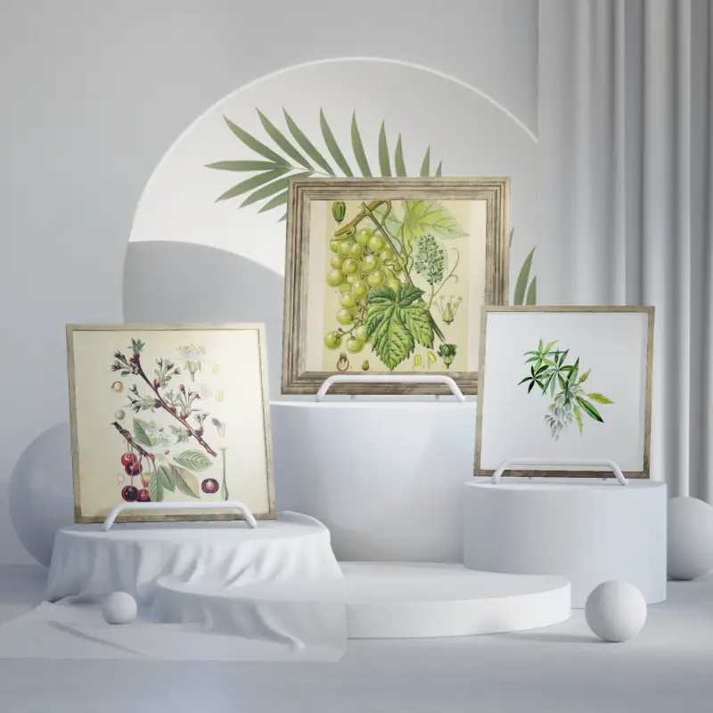 redecor-img