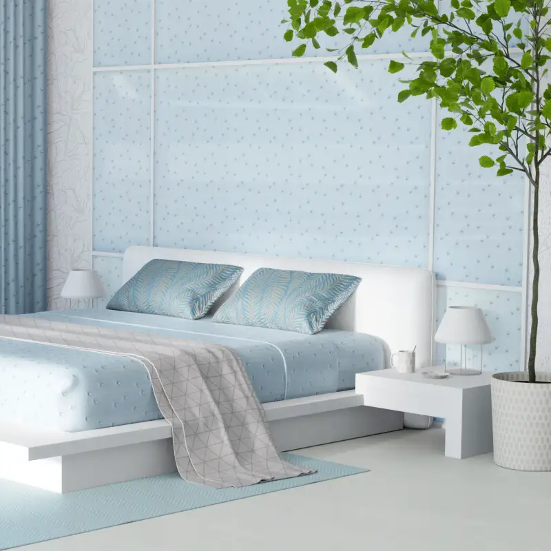 redecor-img