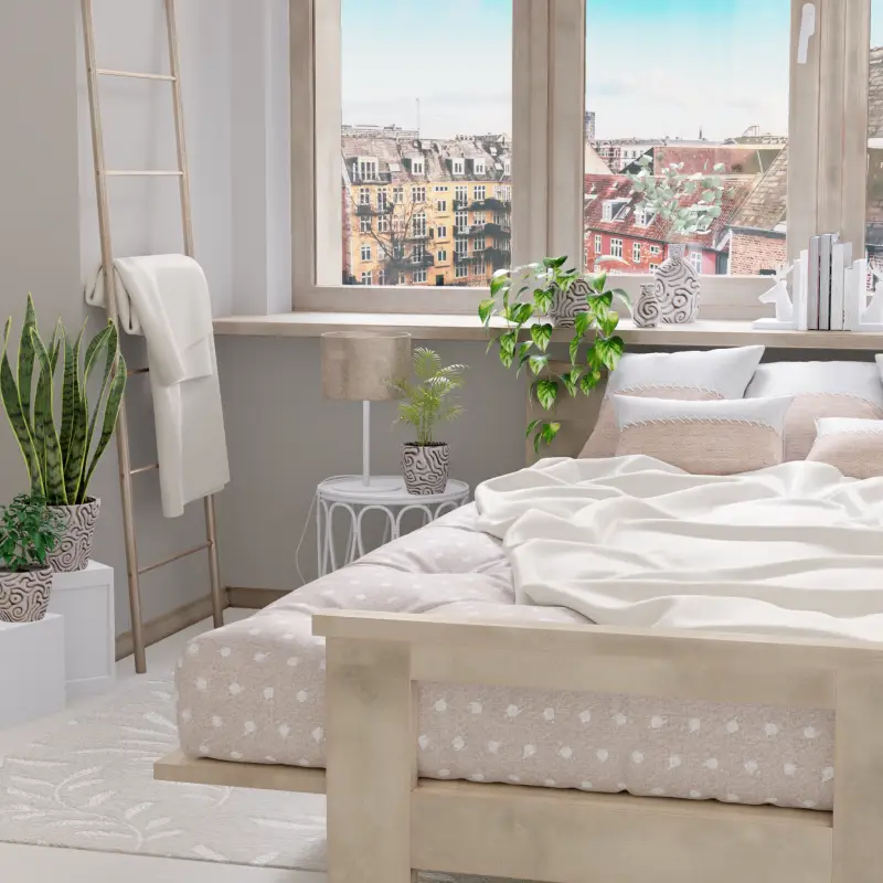 redecor-img