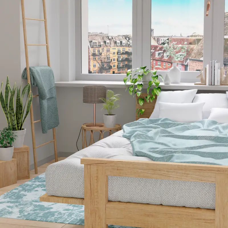 redecor-img
