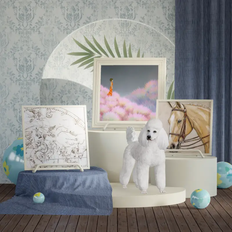 redecor-img