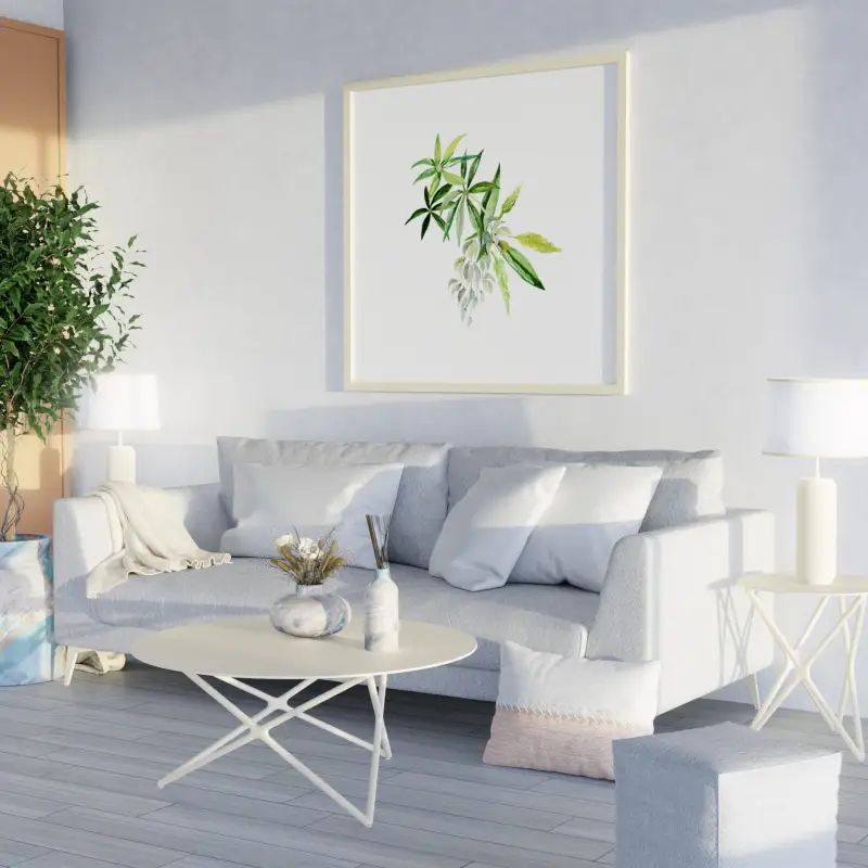 redecor-img
