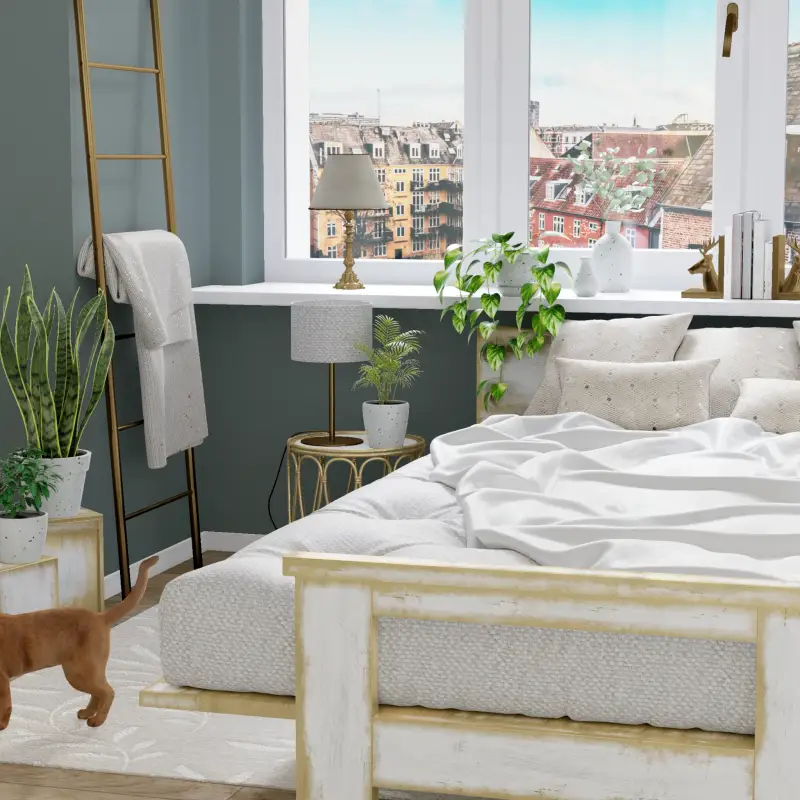 redecor-img