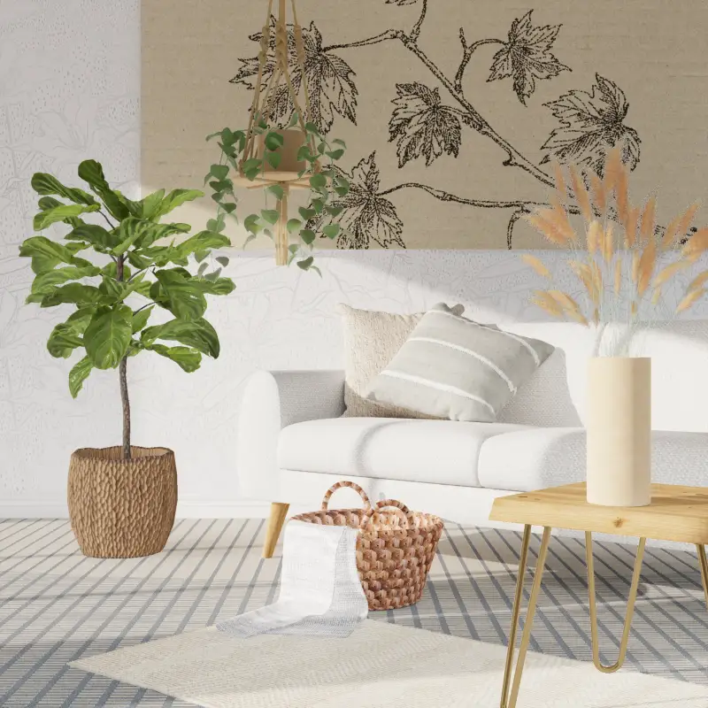 redecor-img