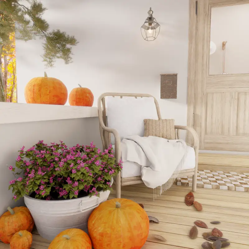 redecor-img