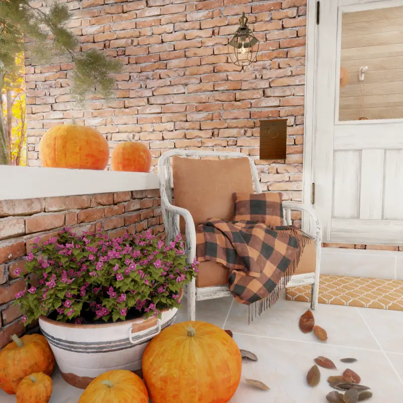 redecor-img