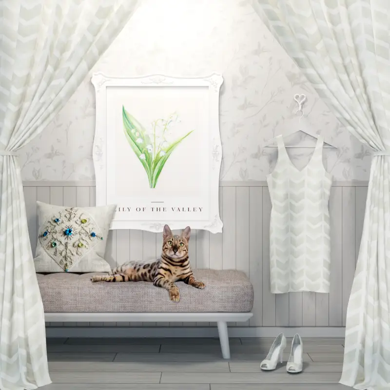 redecor-img