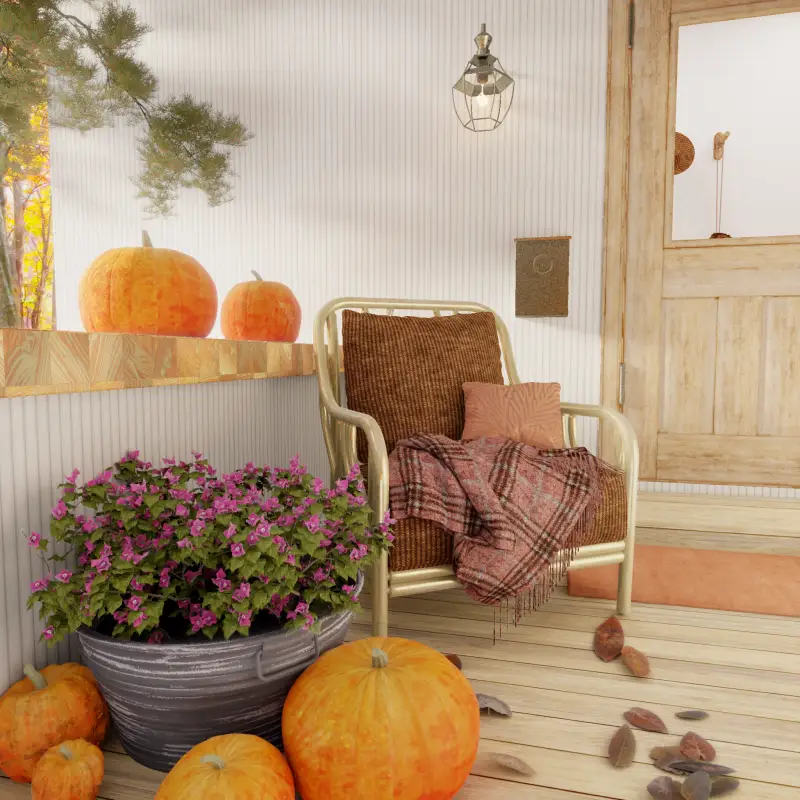 redecor-img
