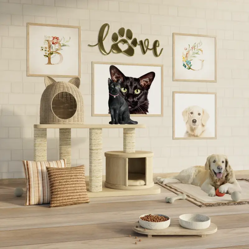 redecor-img