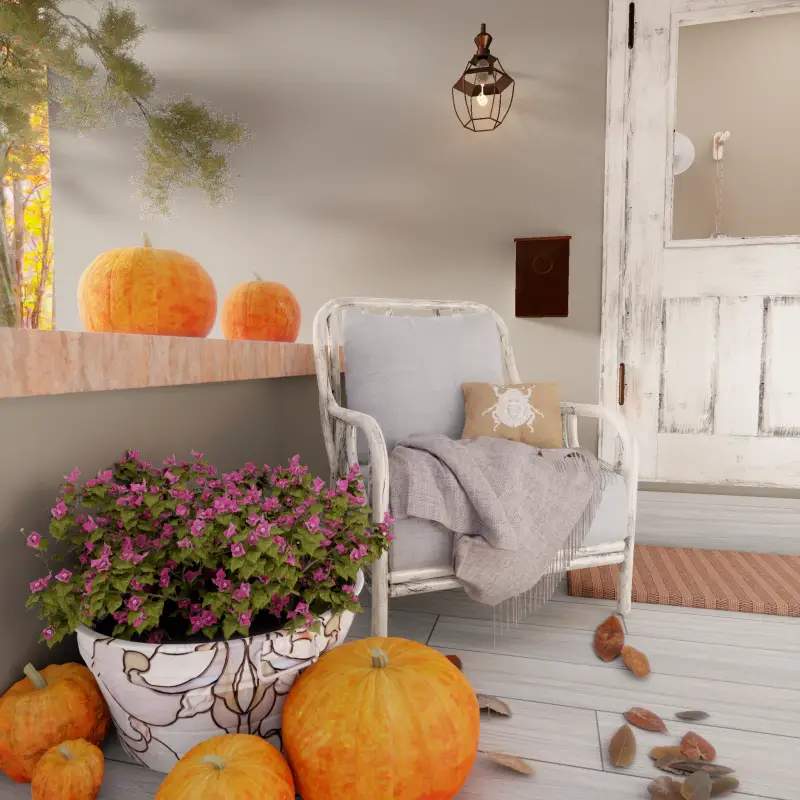 redecor-img