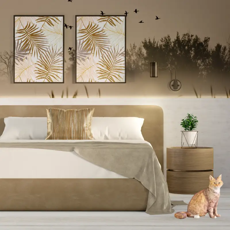 redecor-img