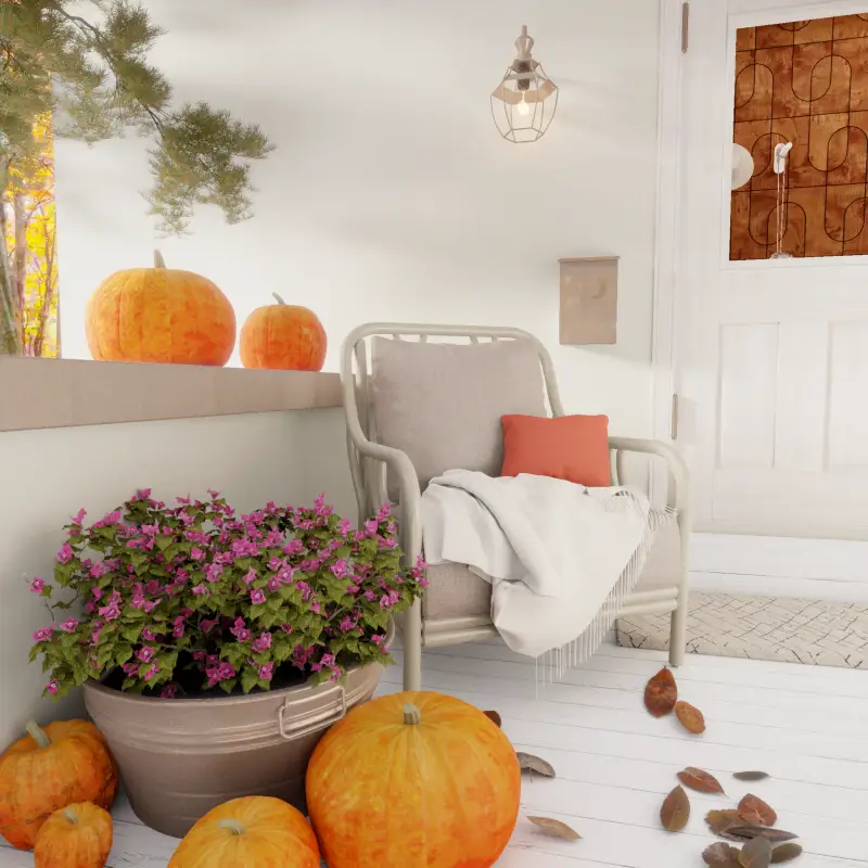 redecor-img