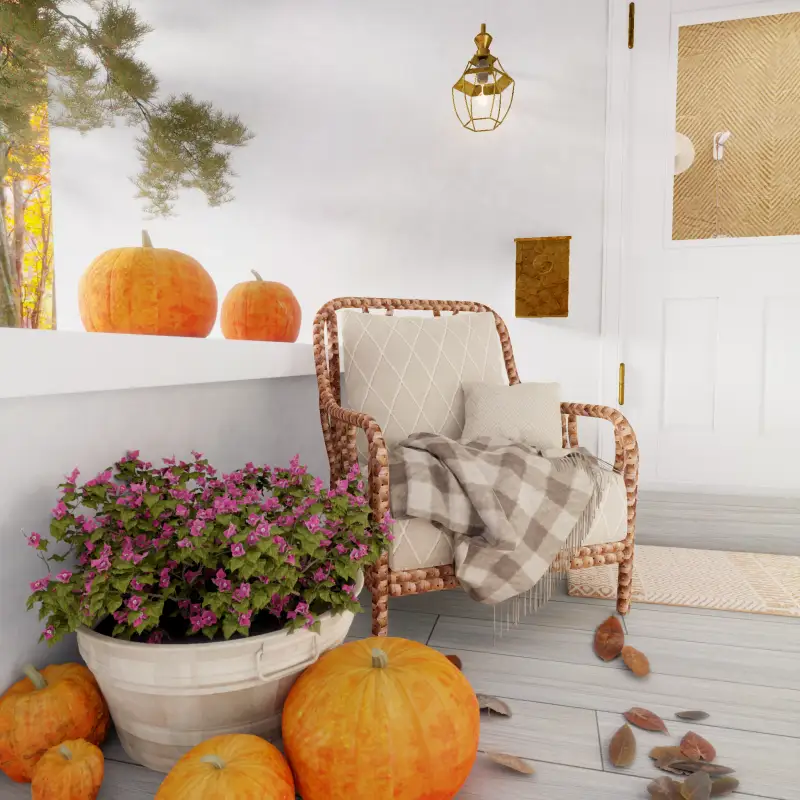 redecor-img