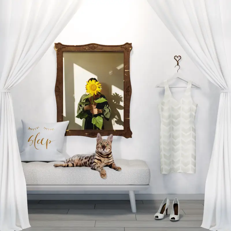 redecor-img
