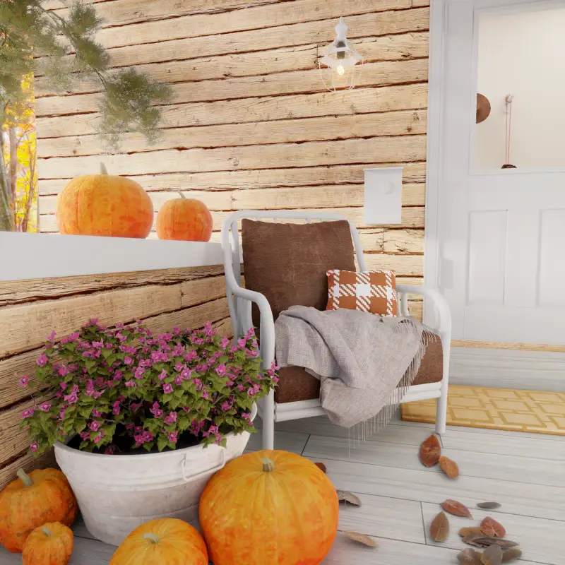 redecor-img