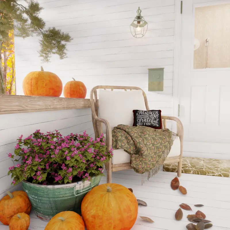 redecor-img