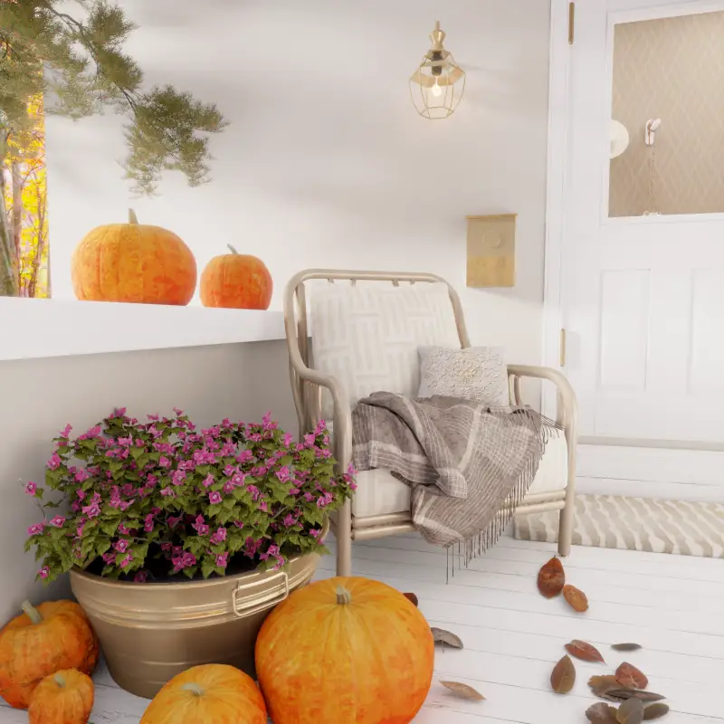 redecor-img