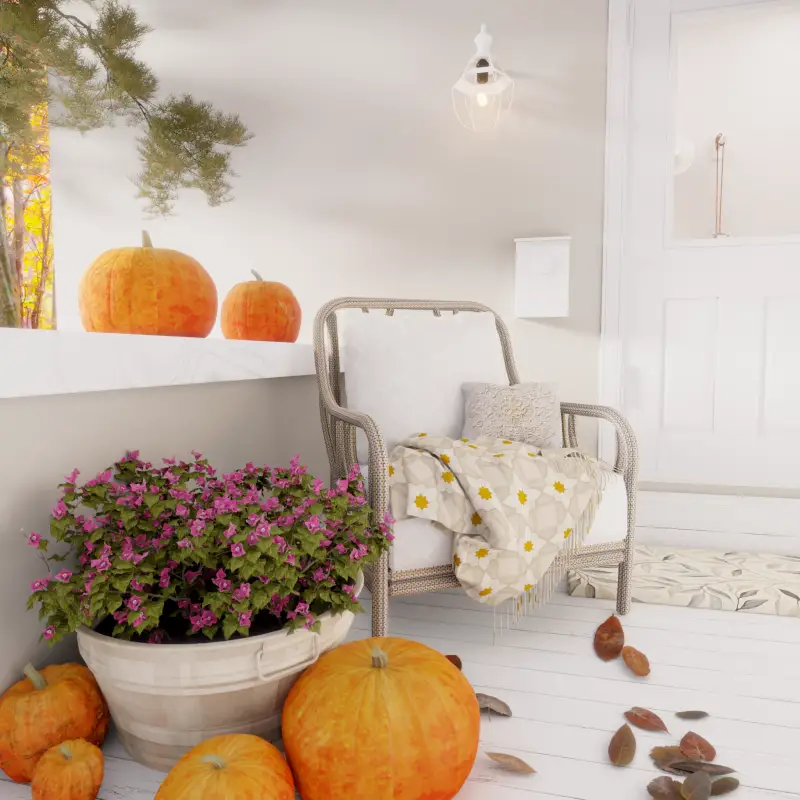 redecor-img