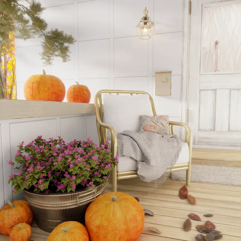 redecor-img
