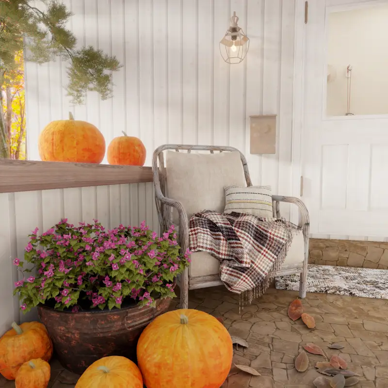 redecor-img