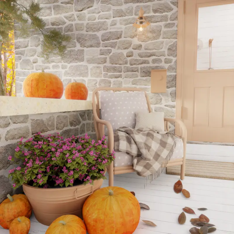 redecor-img