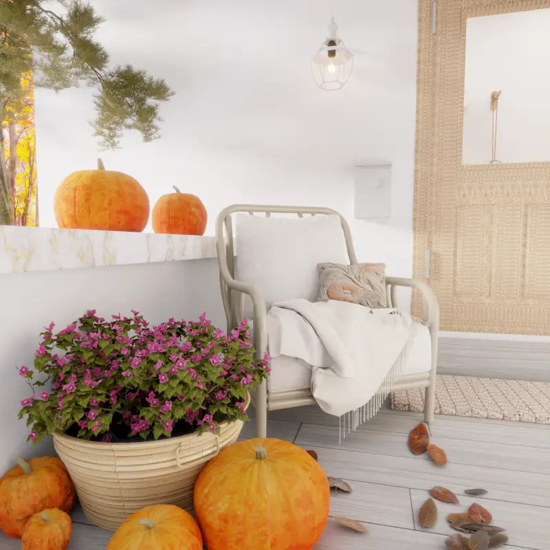 redecor-img