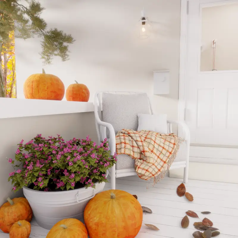 redecor-img