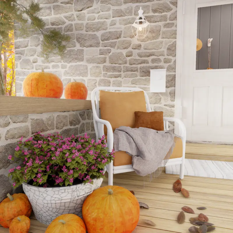 redecor-img