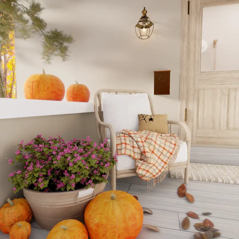 redecor-img