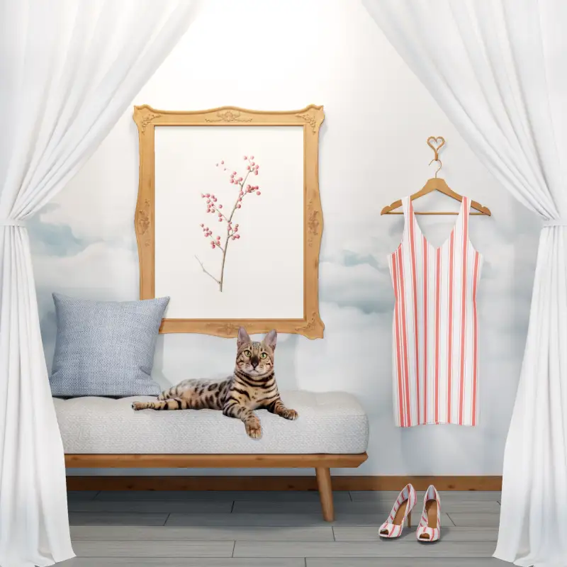 redecor-img