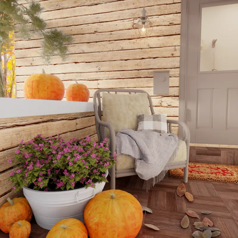 redecor-img