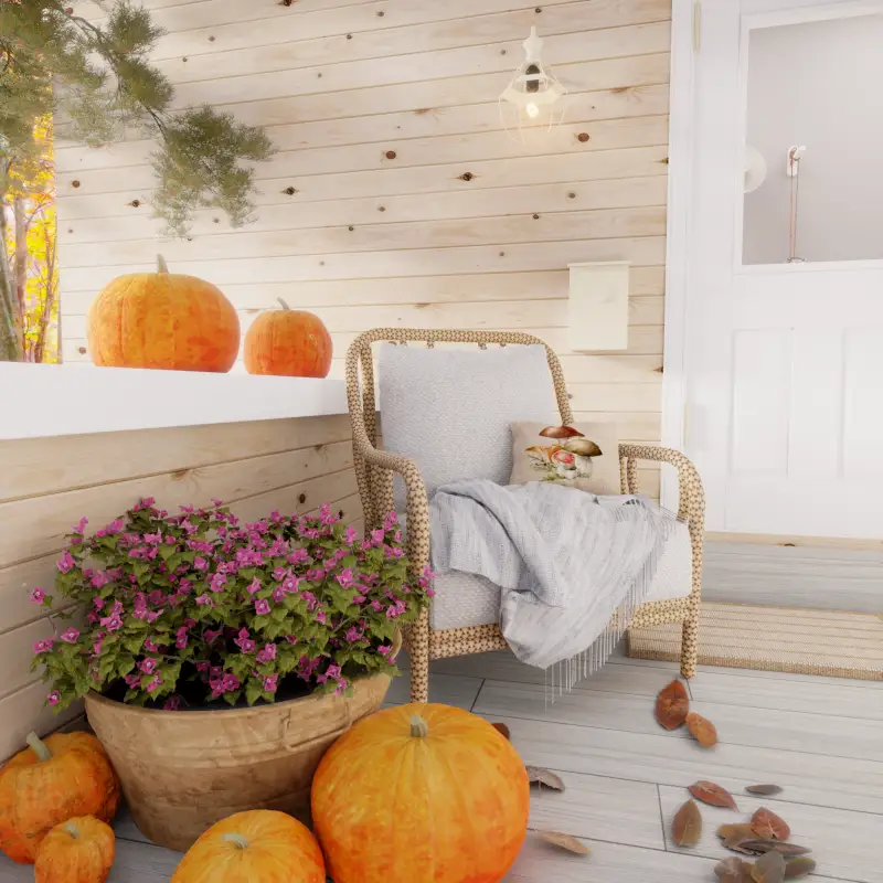 redecor-img