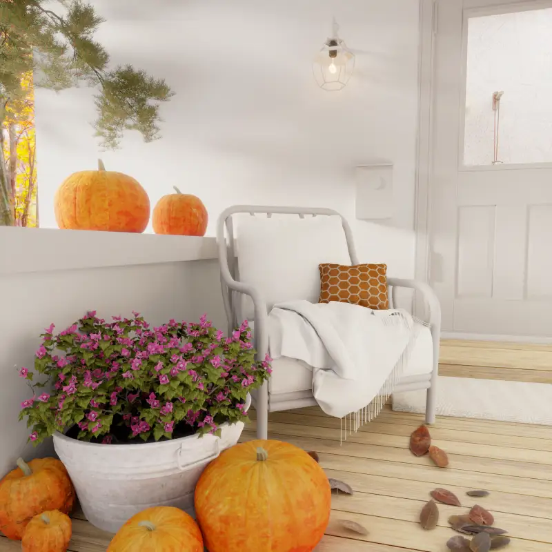 redecor-img