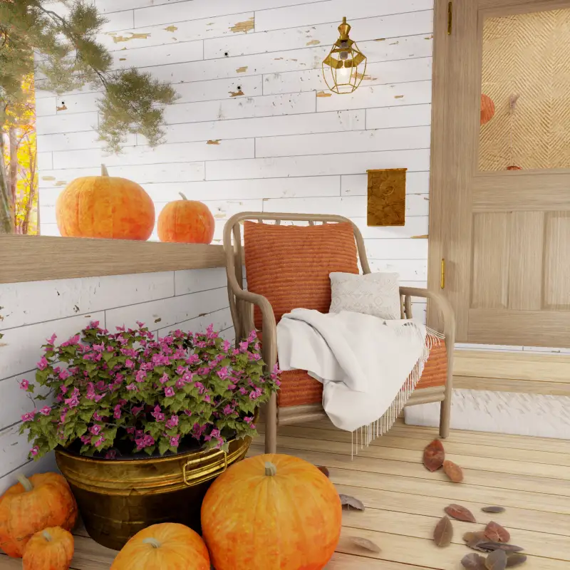 redecor-img