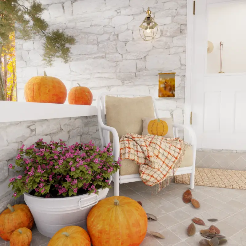 redecor-img
