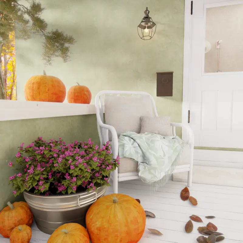 redecor-img